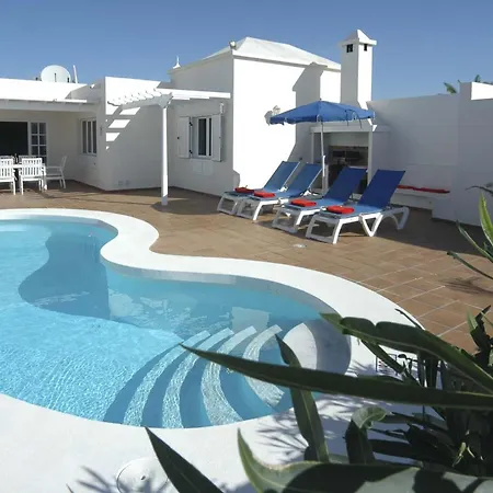 Begonia Puerto del Carmen (Lanzarote)